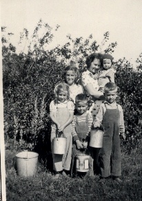 Wild fruit picked in the woodland of our farm, 1947.