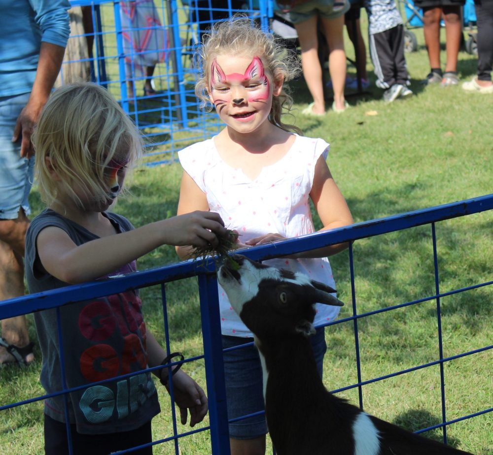 CHRIS GAREAU THE CARILLON
Kleefeld's Amelia Cassidy, 6, laughs as another girl feeds one of the goats at the Kleefeld Honey Festival petting zoo Aug. 24.