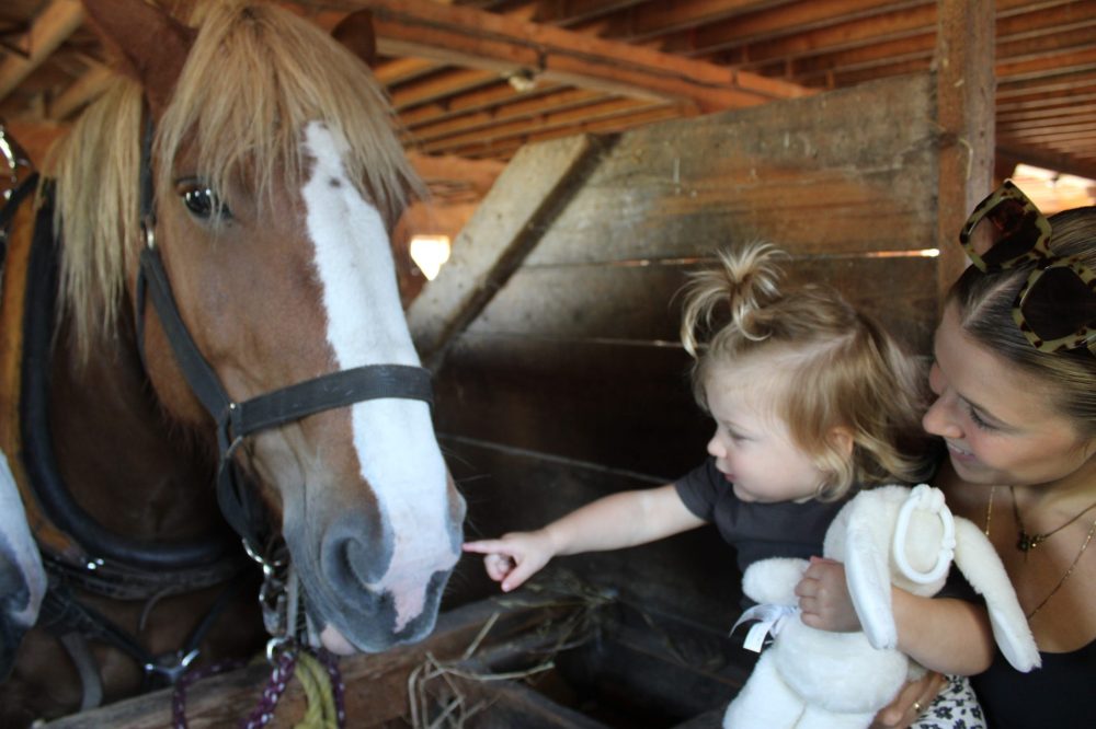 GREG VANDERMEULEN THE CARILLON
Jersey leans forward to meet the horse as her mother Tayt Loeppky holds her.