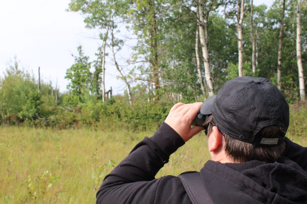 GREG VANDERMEULEN THE CARILLON
Adventures with Nature Norm, Sept. 7, Agassiz Interpretive Trail.