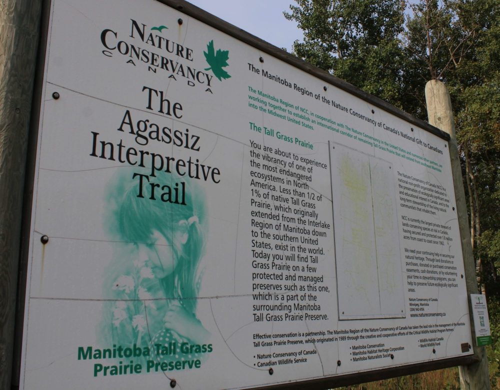 GREG VANDERMEULEN THE CARILLON
The Agassiz Interpretive Trail was the site for the Sept. 7 hike with Nature Norm.