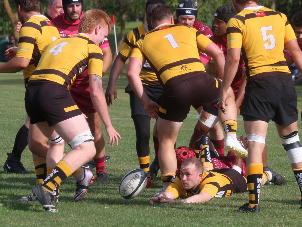 The Eastman Warriors advanced to the Manitoba Rugby Premier Division finals after defeating the Winnipeg Wasps 45-5 inside A.D. Penner Park Sept. 7. (Cassidy Dankochik The Carillon)