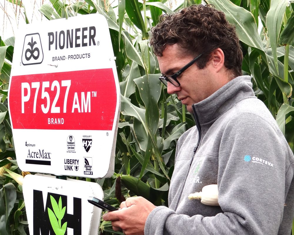 WES KEATING THE CARILLON
Ben Signer checks the planting date for a variety of grain corn that used to be the most widely grown in Manitoba.