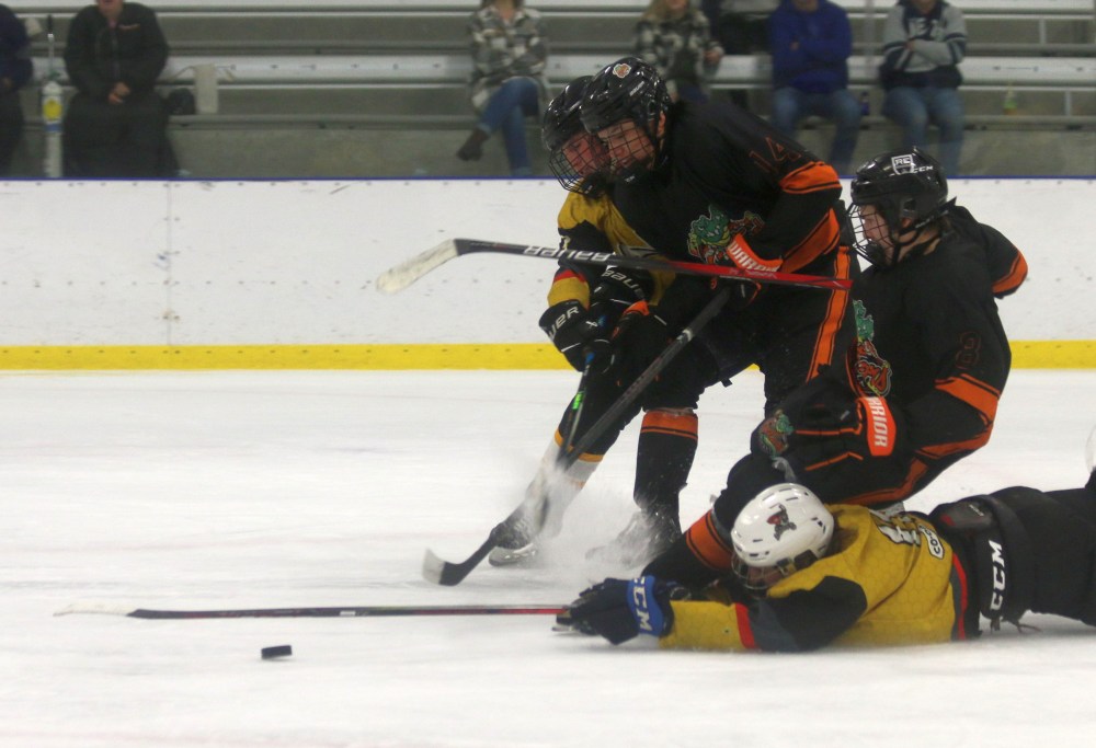 The HTJHL hosted their first showcase event in Niverville Oct. 20. All 10 teams in the league were in action during a single day. (Cassidy Dankochik The Carillon)