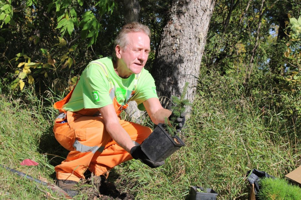 GREG VANDERMEULEN THE CARILLON
Arborist Ken Fosty.