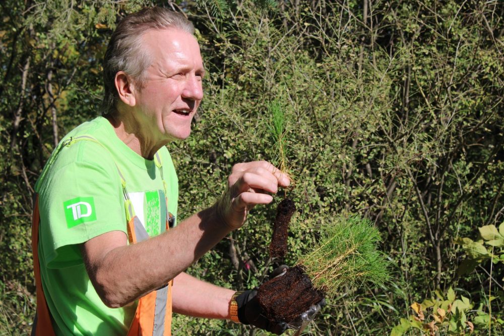 GREG VANDERMEULEN THE CARILLON
Arborist Ken Fosty holds up a tree that volunteers were able to take home to plant in their own yards.
