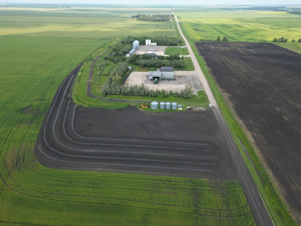 An aerial view of this field in the Aubigny area shows five rows of new trees extending existing shelterbelt around the farmyard as part of the SRRWD’s shelterbelt program.