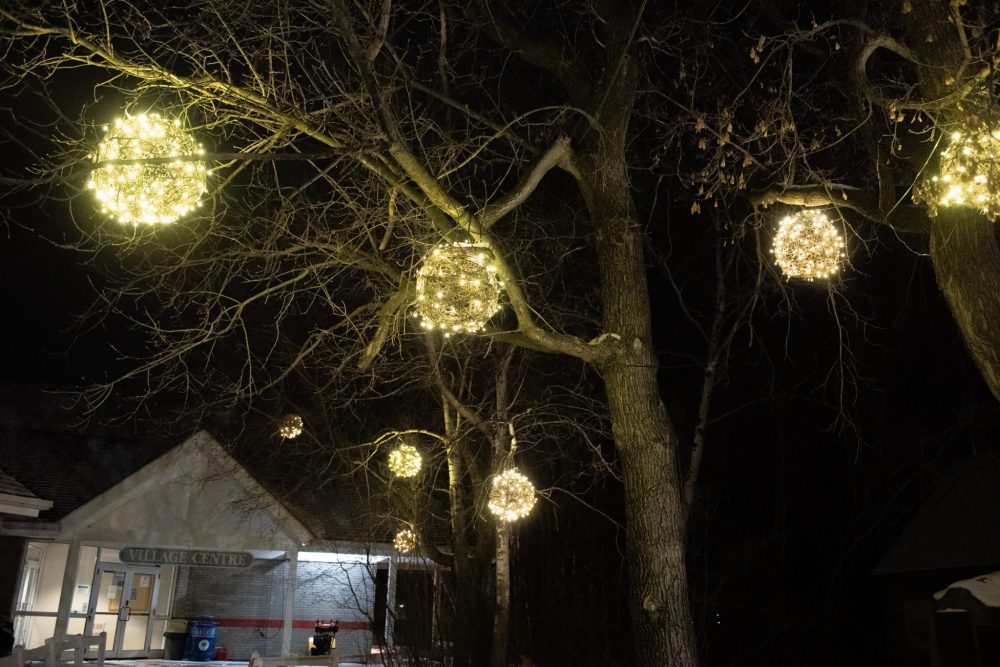 SVJETLANA MLINAREVIC THE CARILLON
Mennonite Heritage Village's Winter in the Village returns again this year with colourful light displays.