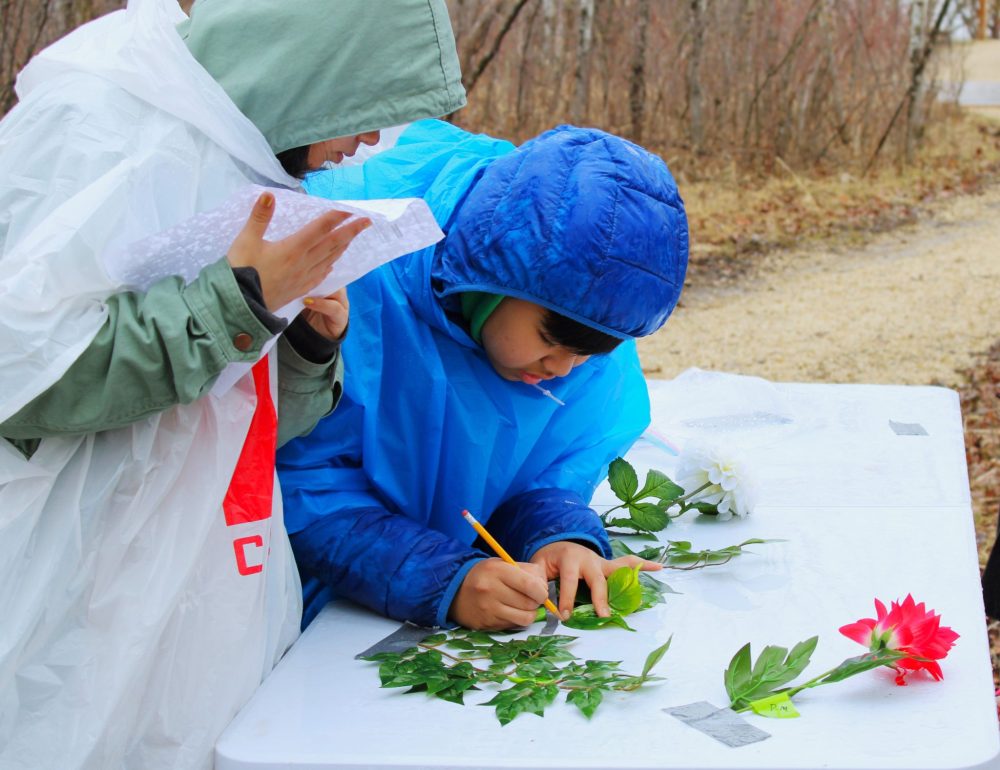 Submitted by the Manitoba Association of Watersheds
Students at Central Regionals doing a field test with plants.
