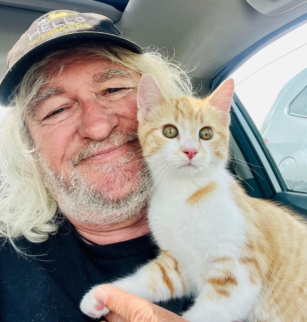 submitted
Mistir Hari feeds 50-60 cats at a time with the help of donations and fosters.