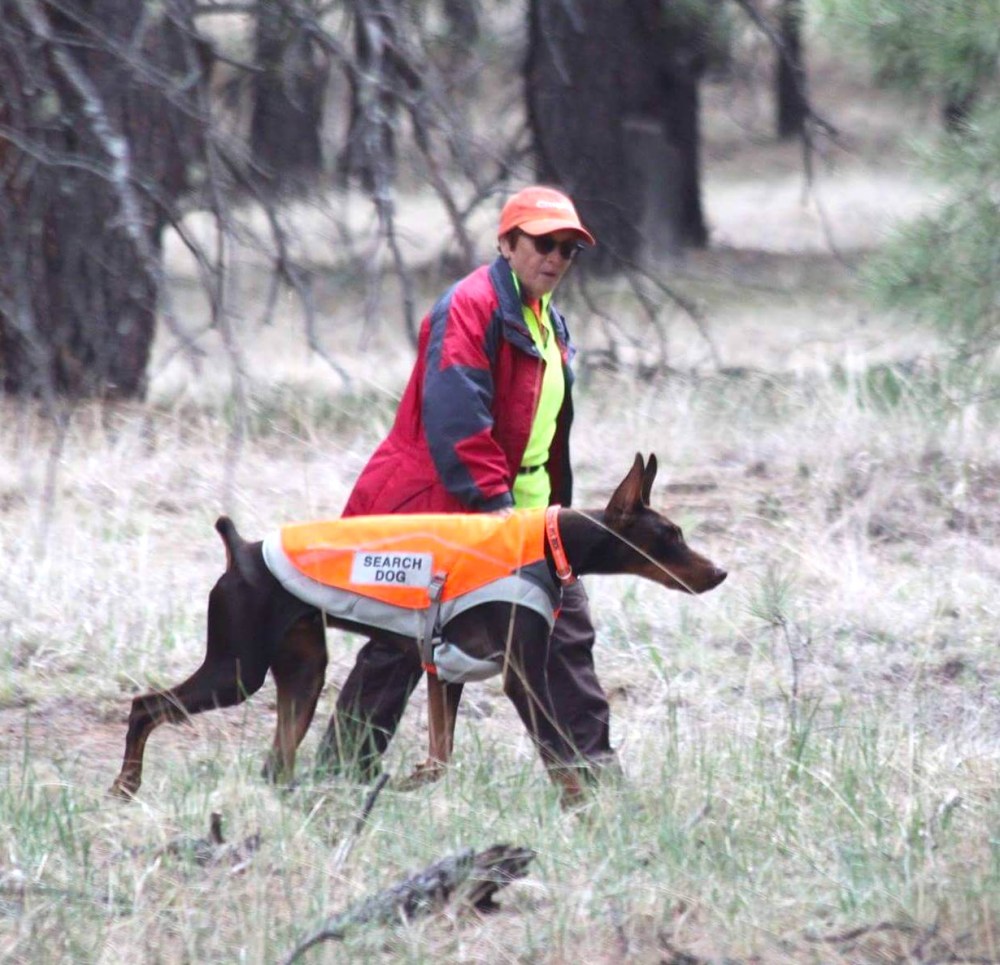submitted
Jody Davidson with search and rescue dog Maisie.