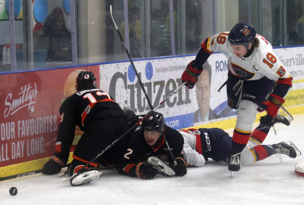 The Niverville Nighthawks lost their first round series to the Winkler Flyers 4-2. (Cassidy Dankochik The Carillon)