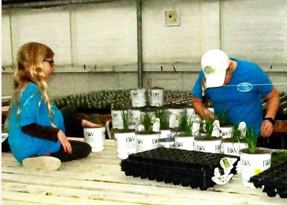WES KEATING THE CARILLON
Enjoying a comfortable perch on the potting table, Annilea has another pot at the ready for her brother Toby.