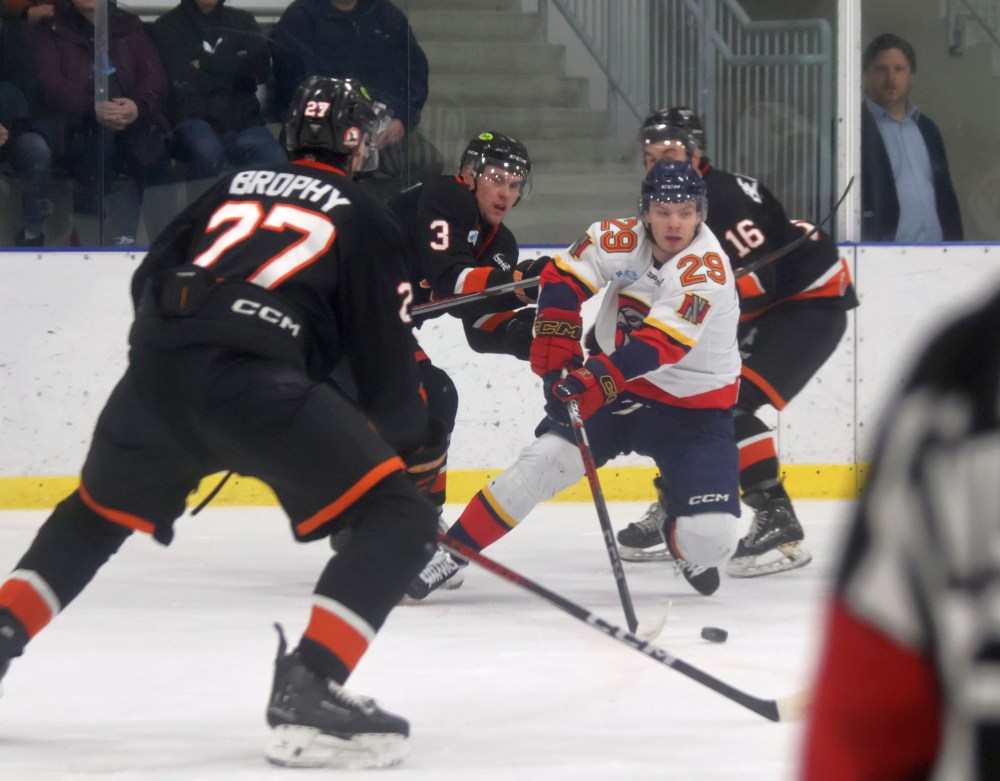 The Niverville Nighthawks lost their first round series to the Winkler Flyers 4-2. (Cassidy Dankochik The Carillon)