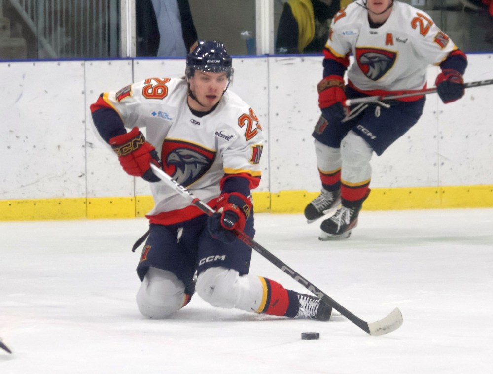 The Niverville Nighthawks lost their first round series to the Winkler Flyers 4-2. (Cassidy Dankochik The Carillon)