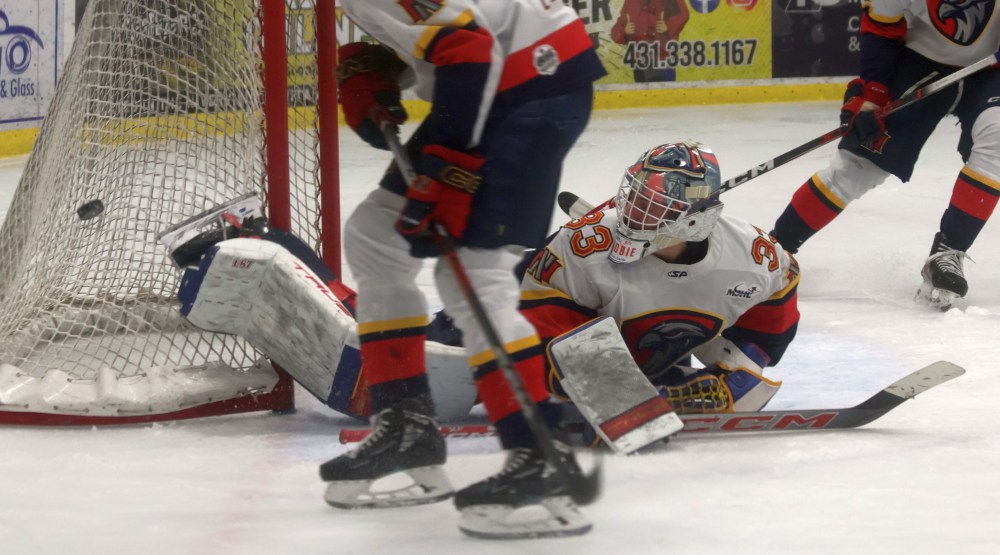 The Niverville Nighthawks lost their first round series to the Winkler Flyers 4-2. (Cassidy Dankochik The Carillon)
