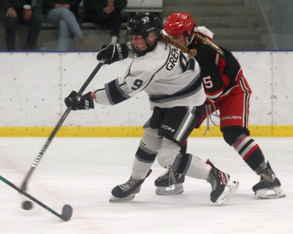 The Eastman Selects won a winner-takes-all game five against the Winnipeg Avros March 29. (Cassidy Dankochik The Carillon)