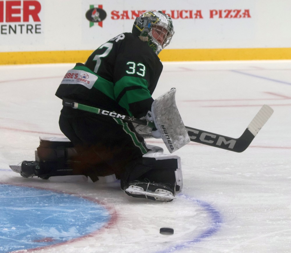 The Steinbach Pistons fell to the Portage Terriers despite a game five win on home ice March 29. (Cassidy Dankochik The Carillon)The Steinbach Pistons fell to the Portage Terriers despite a game five win on home ice March 29. (Cassidy Dankochik The Carillon)