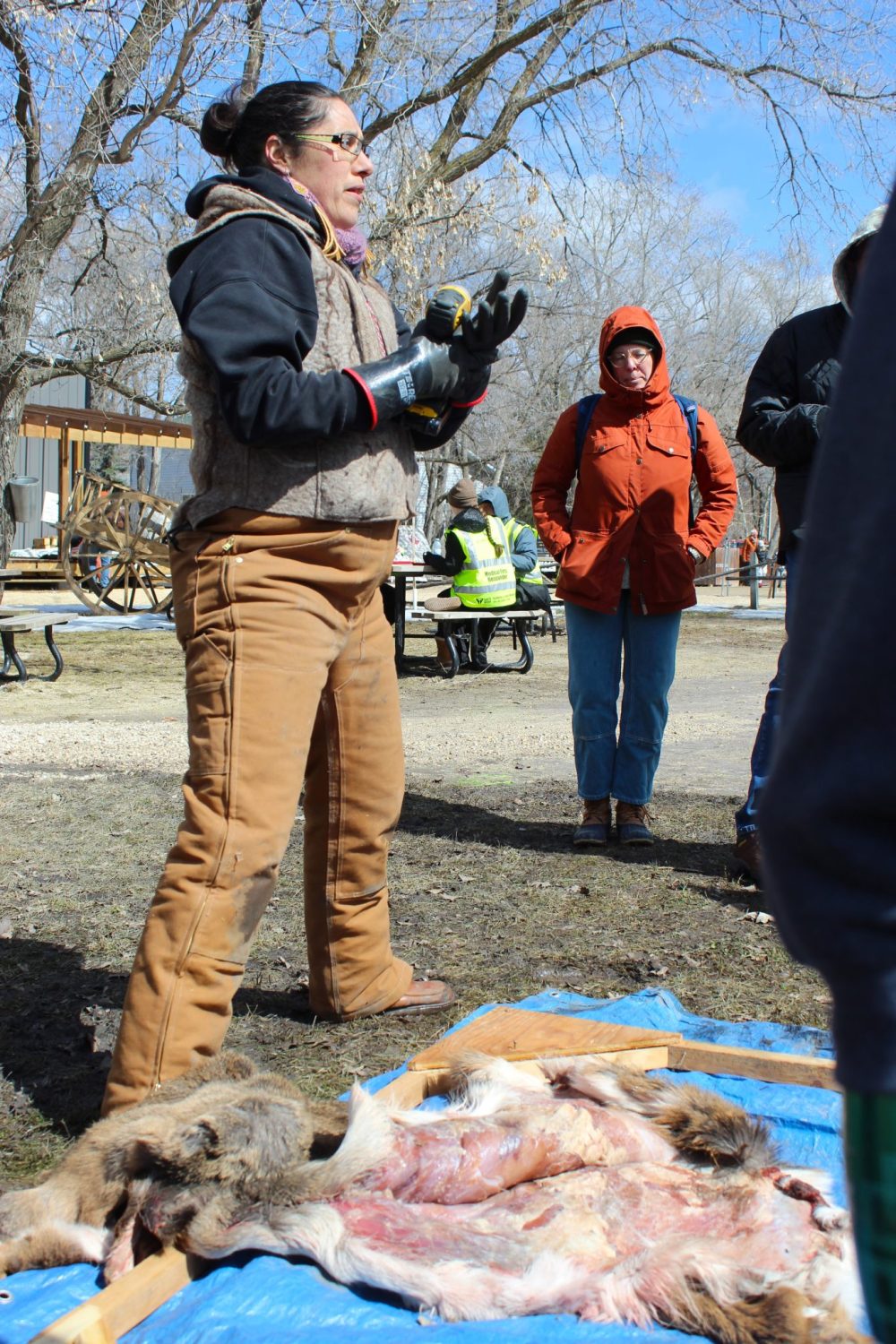 CHRIS GAREAU THE CARILLON
The union nationale mètisse Sainte-Joseph du Manitoba gave a hide tanning demonstration during the Sugaring Off Festival in St Pierre.