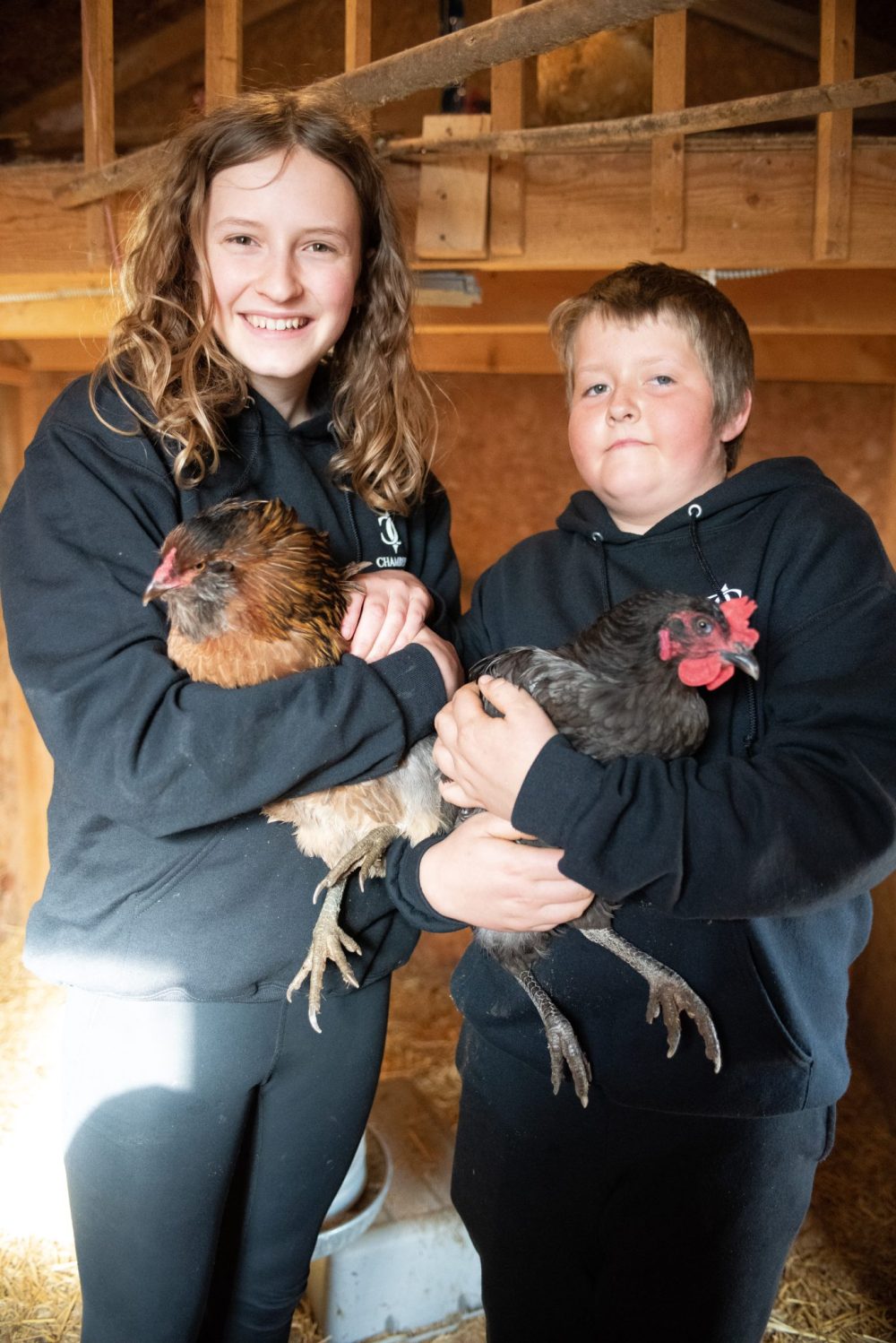 SVJETLANA MLINAREVIC THE CARILLON
Siblings Stephanie and Bradley Vaags hold their chickens Dolly and Mr. Silkon April 23, 2025 in their spring/summer coop. The duo won thrid place at the Chamber Challenge in Steinbach for their egg and chick operation.