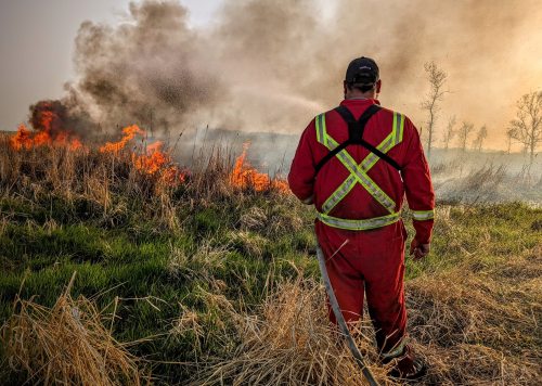 FACEBOOK RM OF LA BROQUERIE FIRE DEPARTMENT 

A wildfire raged in the RM of La Broquerie on Monday. Crews spent eight hours extinguishing the flames that were nine miles south of La Broquerie.