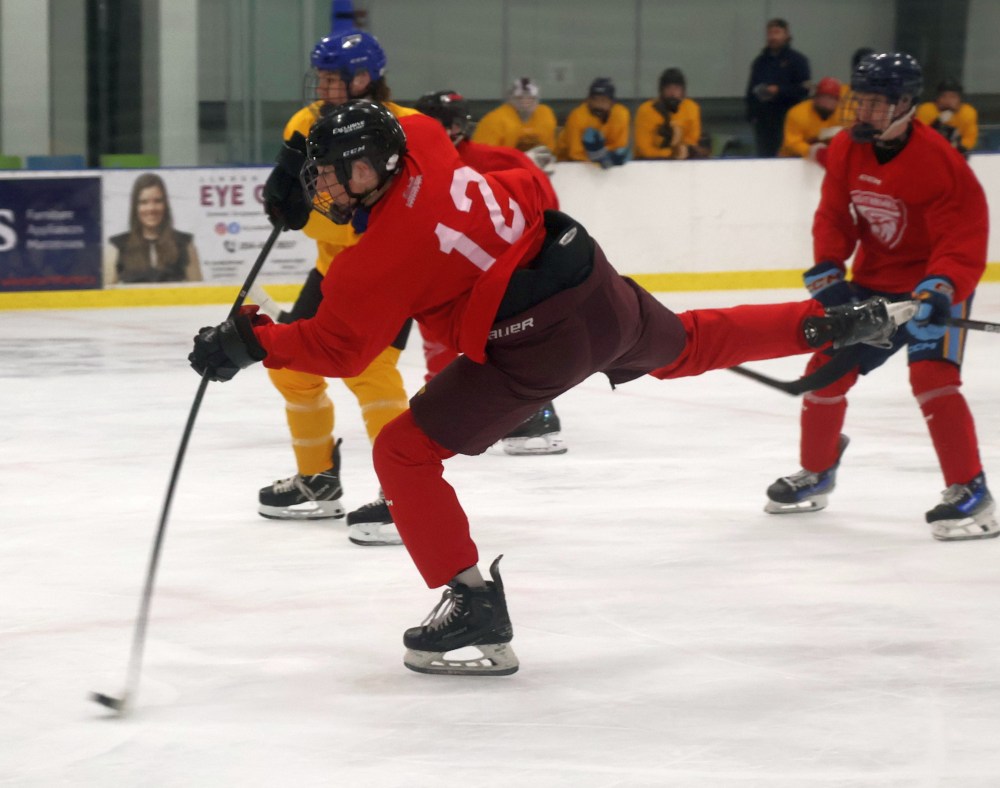 The Niverville Nighthawks held their annual Spring ID camp during the last weekend of April. (Cassidy Dankochik The Carillon)