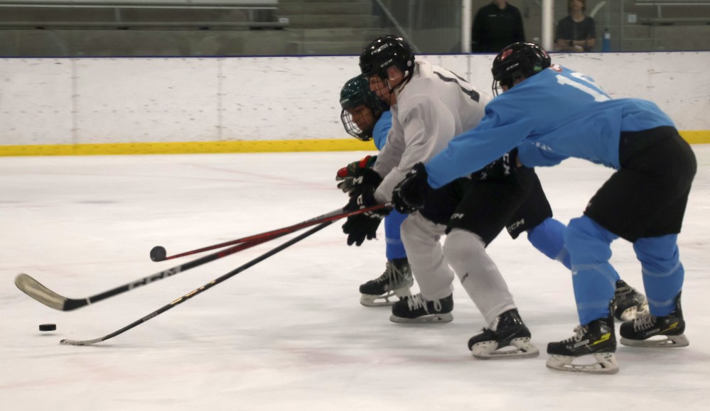 The Niverville Nighthawks held their annual Spring ID camp during the last weekend of April. (Cassidy Dankochik The Carillon)