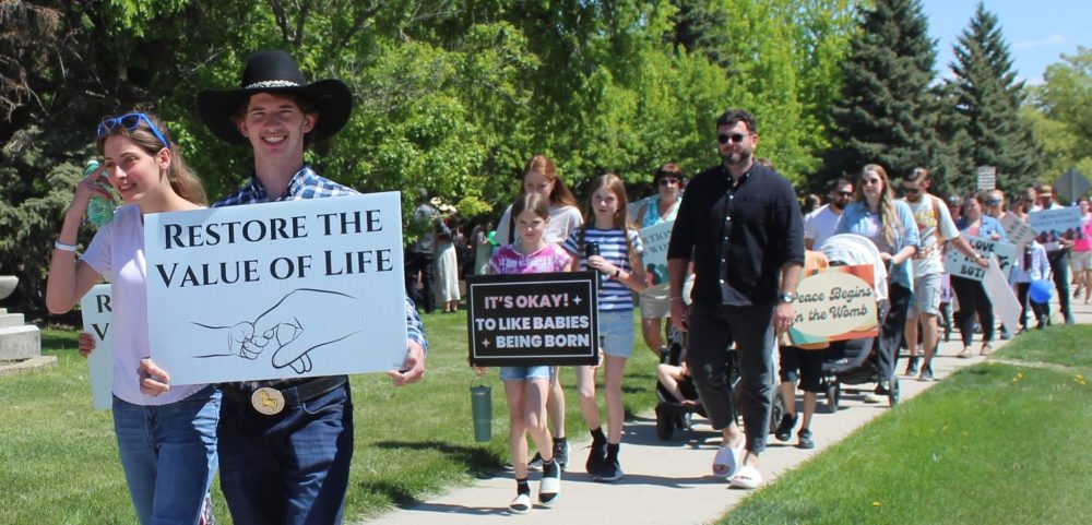 CHRIS GAREAU THE CARILLON
An estimated 900 people were at K.R. Barkman Park in Steinbach for Life Culture's Walk for Life May 25.