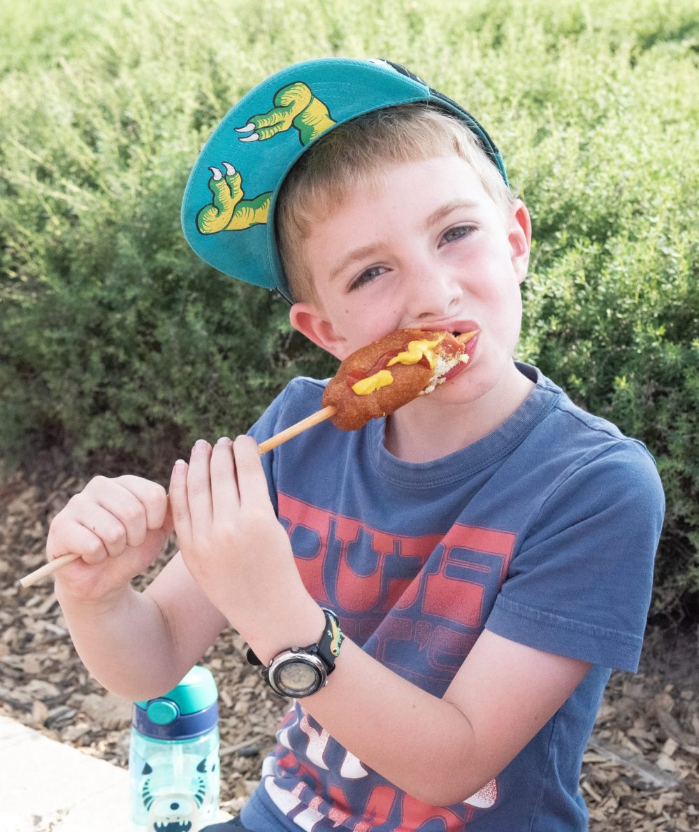 SVJETLANA MLINAREVIC THE CARILLON
Greyson Fehr enjoys a corn dog at Summer in the City on June 13, 2025 in Steinbach.This year's fair had 10 different food vendors for folks to try.