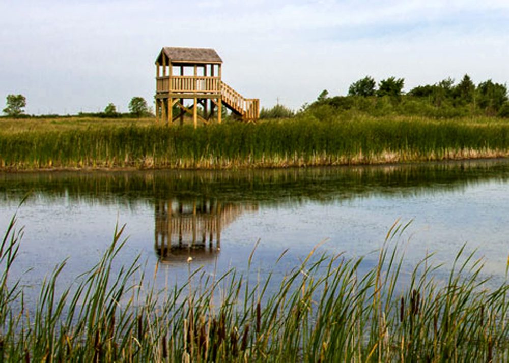 SRRWD
The lookout tower on the far bank of this pond provides a perfect spot for students to do a little birdwatching, or perhaps to get a birds’ eye view of a variety of water plants, during a tour of the Discovery Centre.