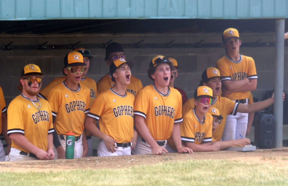 Action from the MHSAA baseball championships in Stonewall. (Cassidy Dankochik The Carillon)