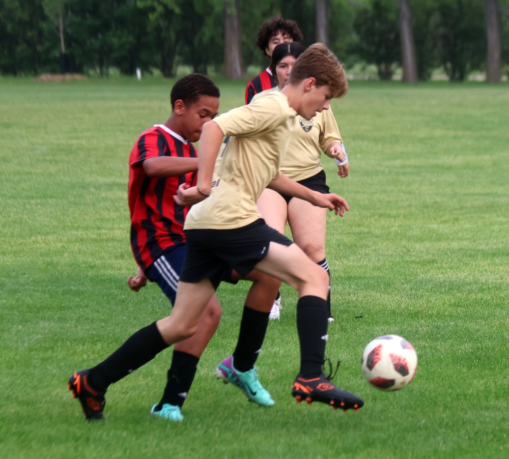 The Niverville Force dropped their home opener to Grant Park 5-3 June 12. (Cassidy Dankochik The Carillon)