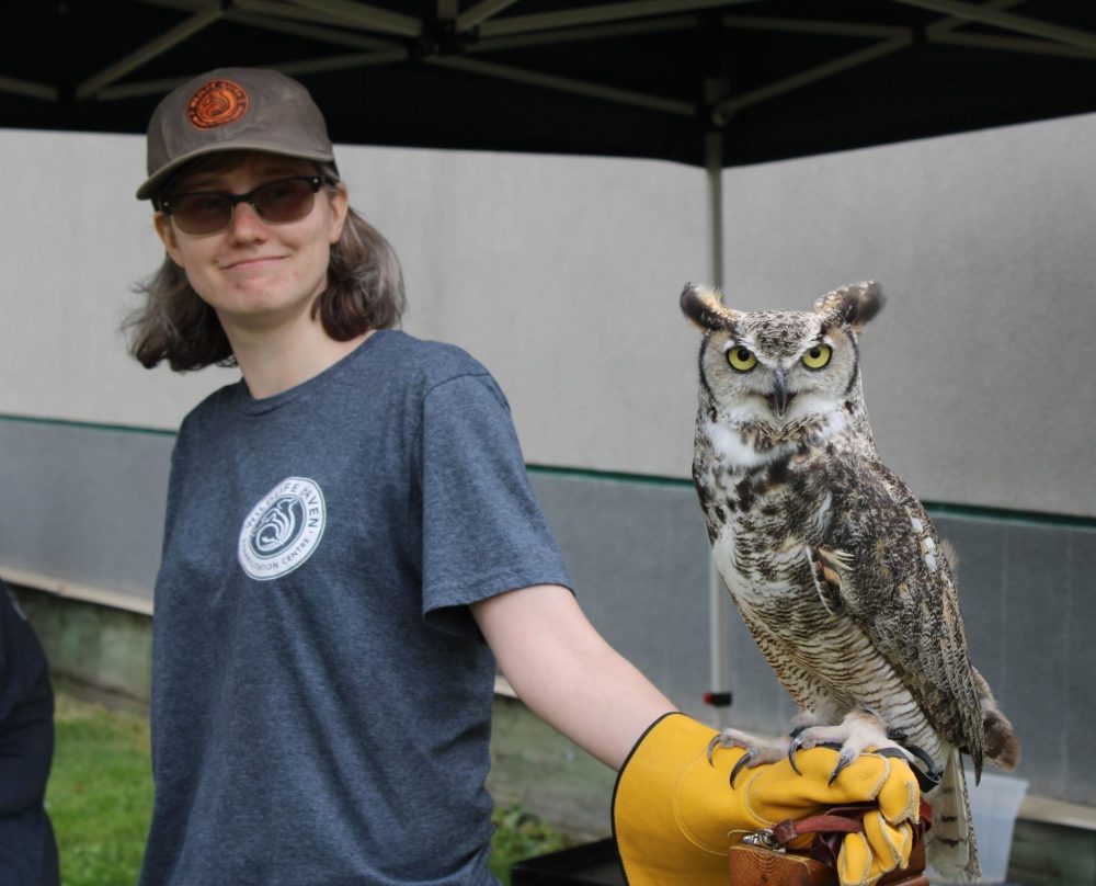 A Wildlife Haven volunteer stands with Griffin, a Great Horned Owl.