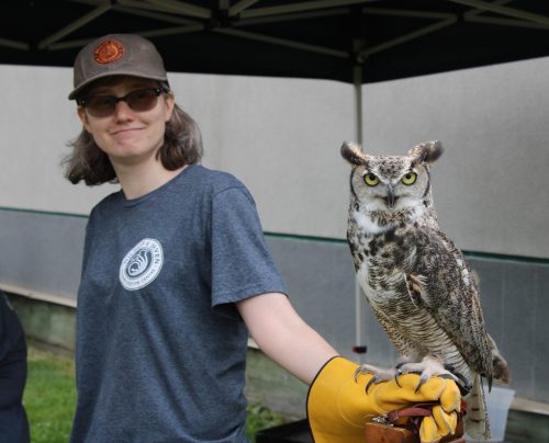A Wildlife Haven volunteer stands with Griffin, a Great Horned Owl.
