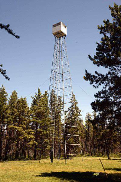 Submitted
The Woodridge Fire (or Ranger) Tower, located within the Woodridge Provincial Park off Hwy 210, has witnessed a significant evolution in firefighting history. During the early 20th century, wooden fire lookout towers were erected across Canada to enable early detection of forest fires. These towers became critical observation points, manned by well-trained staff equipped with radio communication. With the advancements in aerial surveillance and communication technology, fire lookout towers over time have been significantly reduced and those that are still standing are ‘retired’ and out of service. Today the Woodridge Fire Tower stands as a historic landmark reflecting the progress and dedication of those who have worked tirelessly to protect Manitoba’s forests from the devastating effects of wildfires.