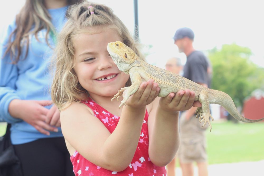 TONI DE GUZMAN THE CARILLON
Eleanor Karpinchick holds Chico, a bearded dragon who is four years old, the same age as her, at the barbecue for the Jolys Regional Library grand opening in the Parc Carillon.