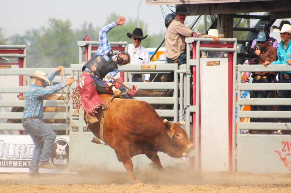 TONI DE GUZMAN THE CARILLON
Lonnie Phillips contorts and grips the rope tightly as the bull tries to get him off its back at the Manitoba Stampede bull riding event on July 19.