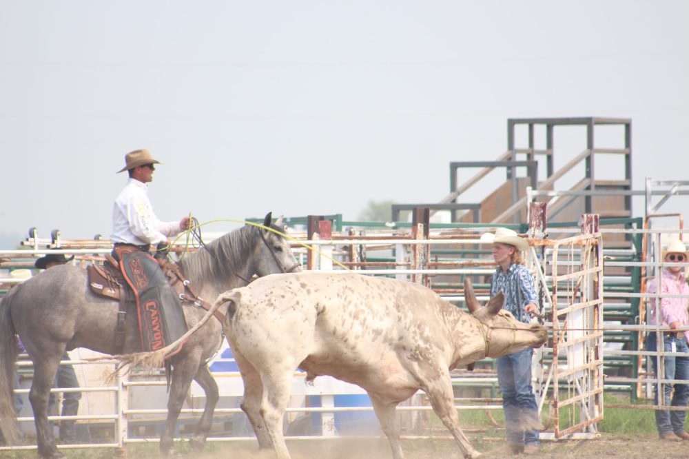 TONI DE GUZMAN THE CARILLON
Manitoba Stampede an Exhibition, 2025.