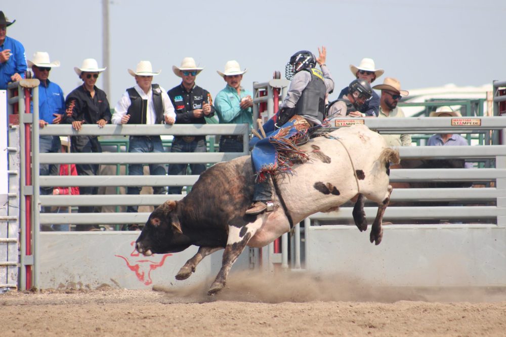 TONI DE GUZMAN THE CARILLON
Manitoba Stampede an Exhibition, 2025.