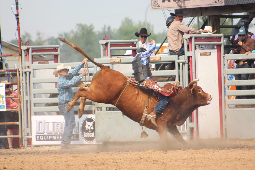 TONI DE GUZMAN THE CARILLON
Manitoba Stampede an Exhibition, 2025.