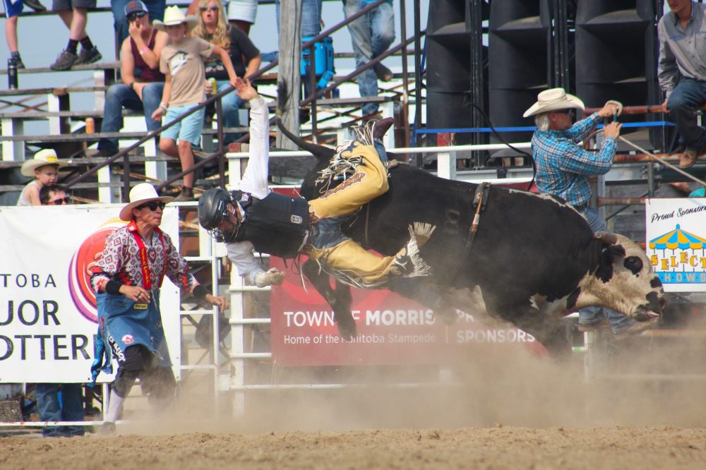 TONI DE GUZMAN THE CARILLON
Manitoba Stampede an Exhibition, 2025.