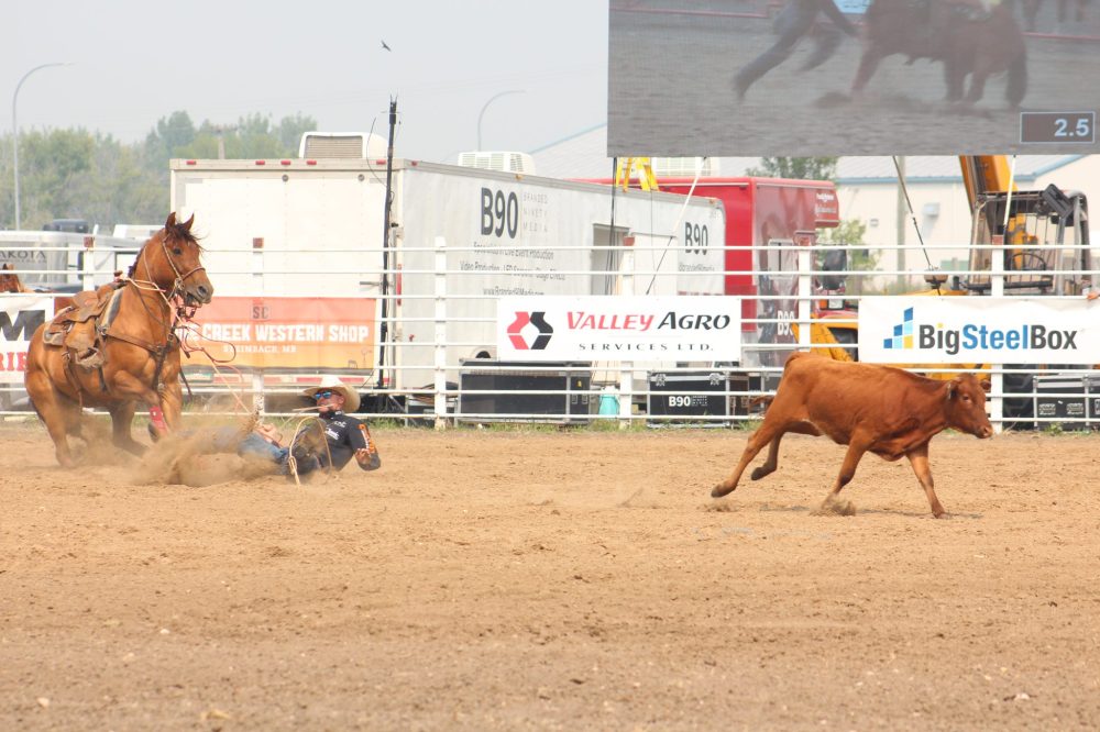 TONI DE GUZMAN THE CARILLON
Manitoba Stampede an Exhibition, 2025.