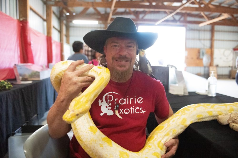 SVJETLANA MLINAREVIC THE CARILLON
Prairie Exotics owner Steven Rempel holds Popcorn an albino Burmese Python while Cocktail the cockatoo sits on his shoulder during the Manitoba Stampede in Morris on July 18, 2025.