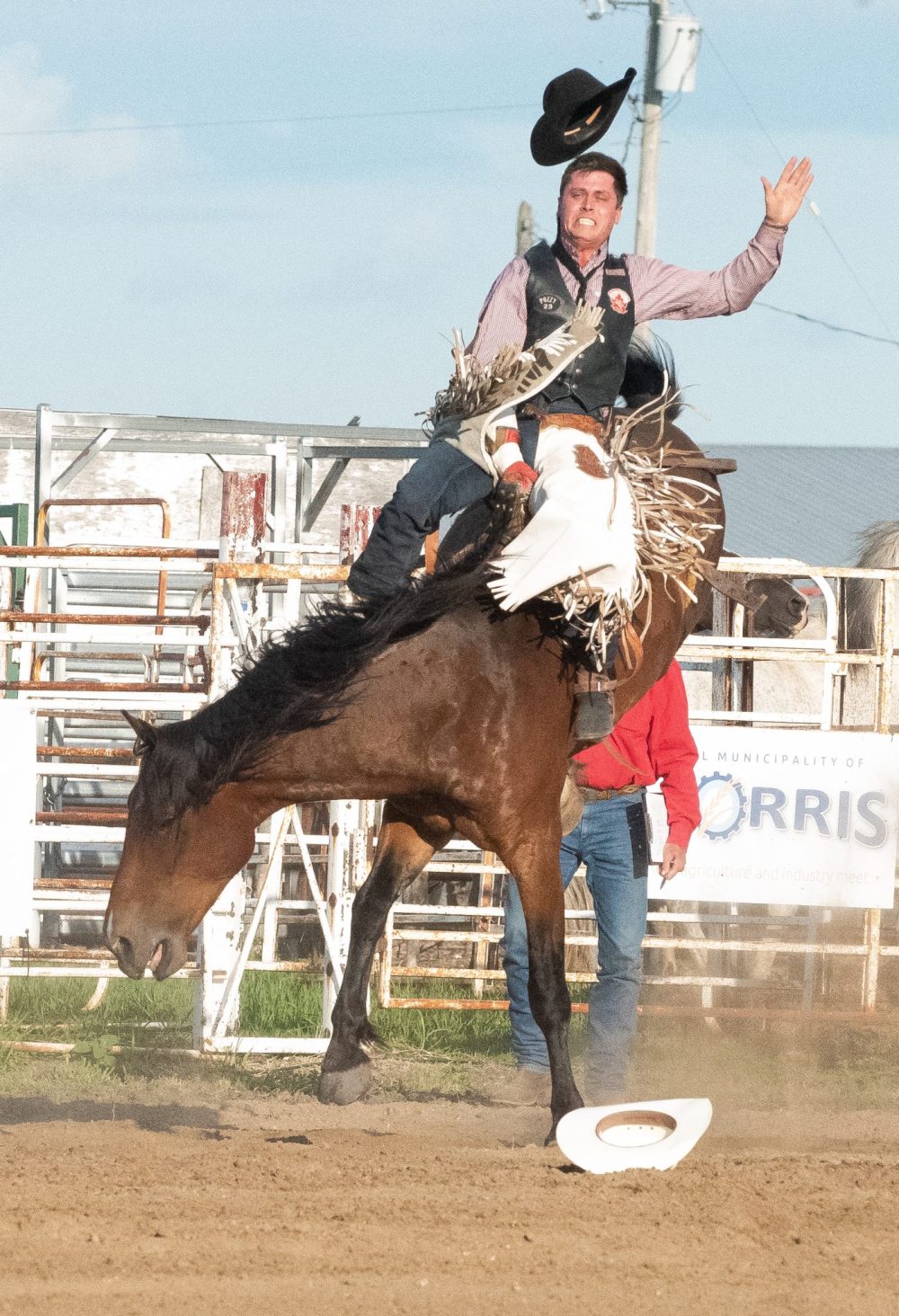 SVJETLANA MLINAREVIC THE CARILLON
Bare back bronc rider Danton Birch holds on during the Manitoba Stampede in Morris on July 18, 2025. He got 65 points.