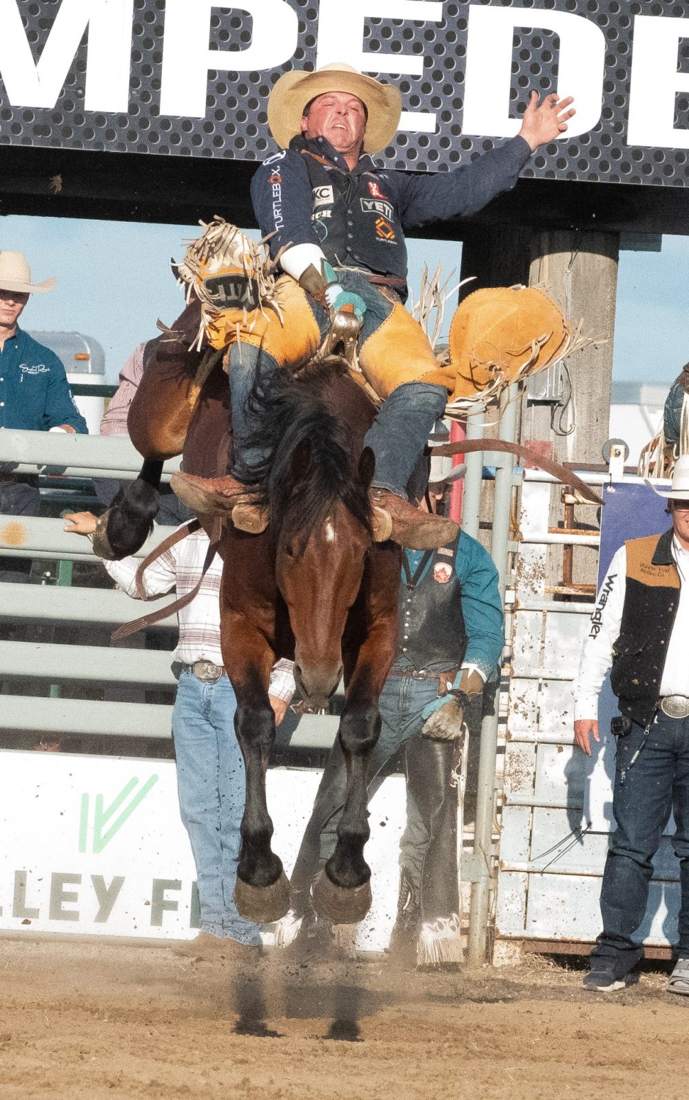 SVJETLANA MLINAREVIC THE CARILLON
A saddle bronc rider holds on during the Manitoba Stampede in Morris on July 18, 2025.