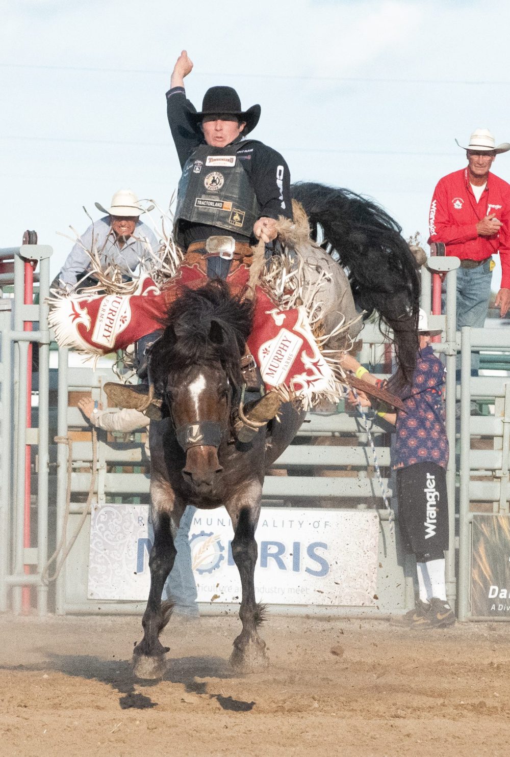 SVJETLANA MLINAREVIC THE CARILLON
Saddle bronc rider Layton Green holds on during the Manitoba Stampede in Morris on July 18, 2025. He got 75.5 points.