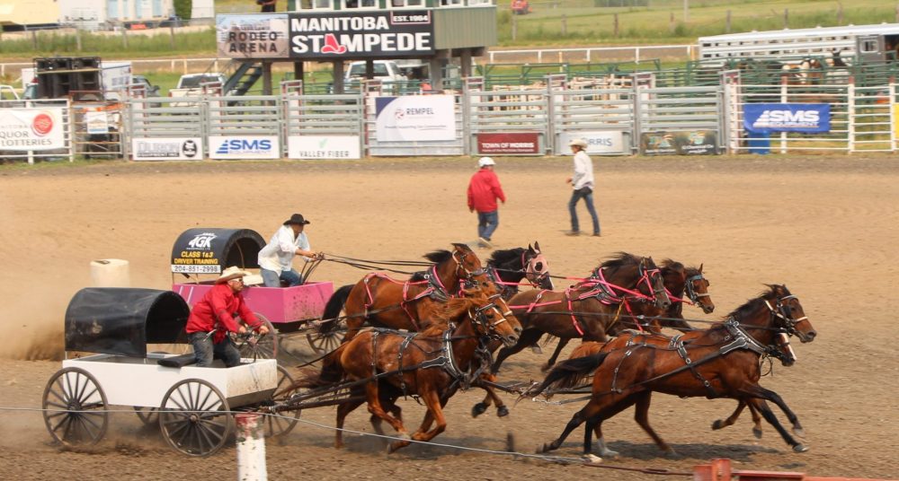 CARILLON ARCHIVES
Chuckwagon racing remains a popular event at the Manitoba Stampede and Exhibition.