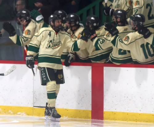 Cassidy Dankochik Carillon Archvies 

James Loewen is calling on hockey players to get more original with goal celebrations instead of flying by the bench, like this St Malo Warriors player did earlier this year.