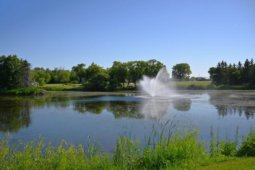 Enjoy a walk around the museum pond.