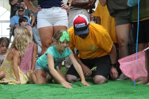 MATTHEW FRANK THE CARILLON
A child watches her frog jump during the Canadian National Frog Jumping Championships.